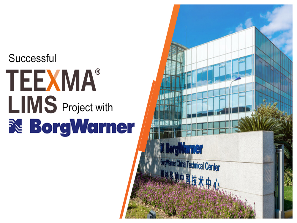 Successful project with BorgWarner