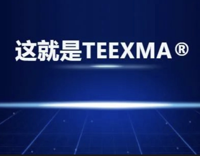 这就是TEEXMA ® 